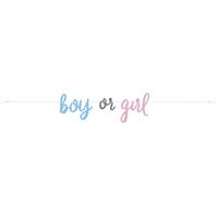BOY OR GIRL GENDER REVEAL BANNER 7'