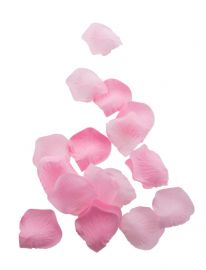 ROSE PETALS - PINK