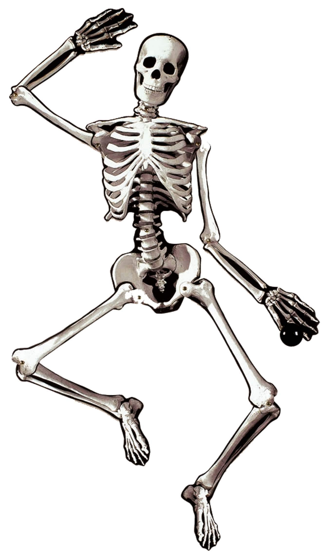 SKELETON JOINTED CUTOUT