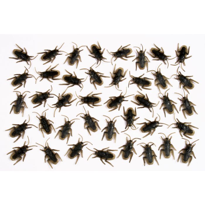 BAG OF ROACHES 40CT