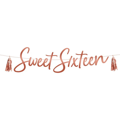 BLUSH SWEET 16 BANNER