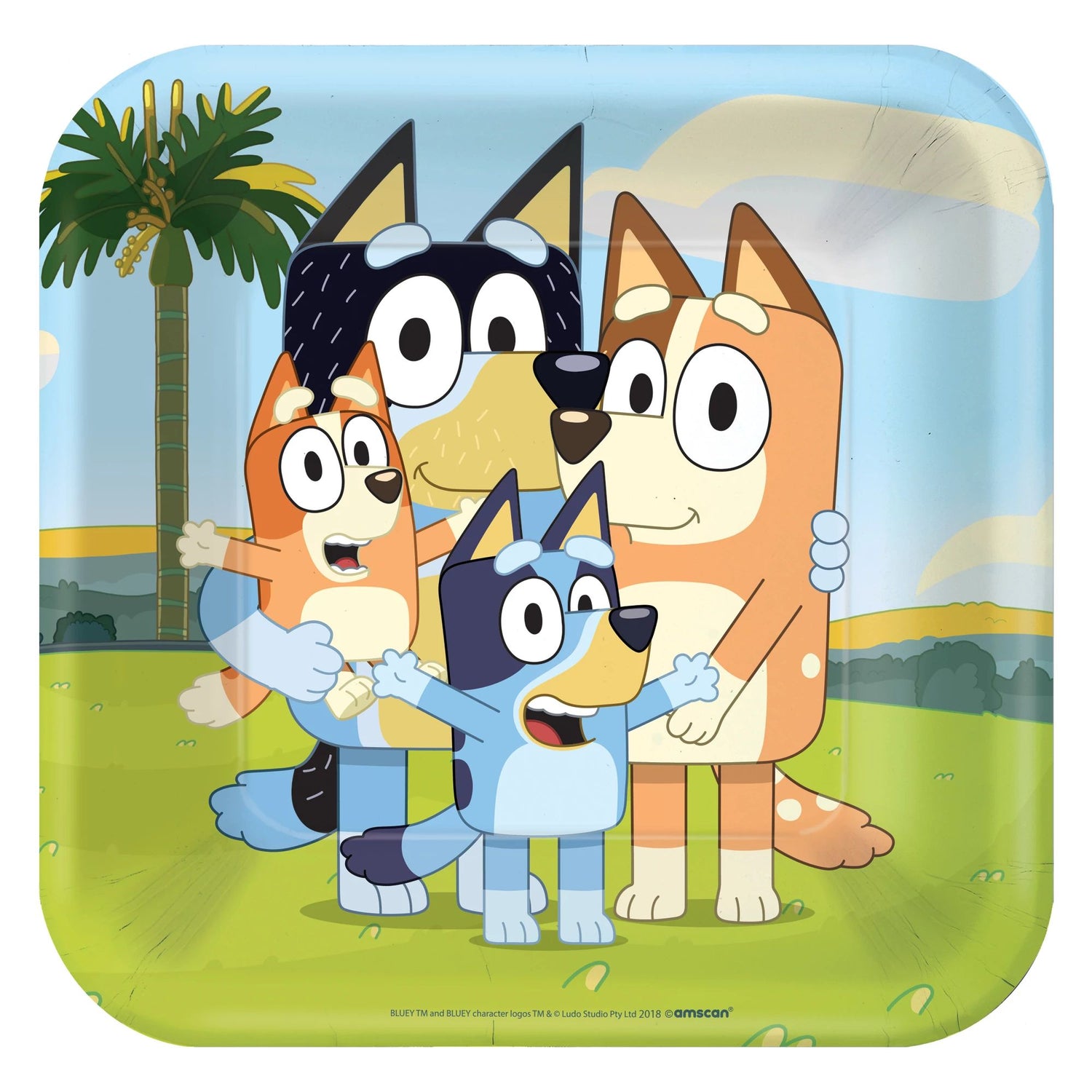 Bluey Birthday