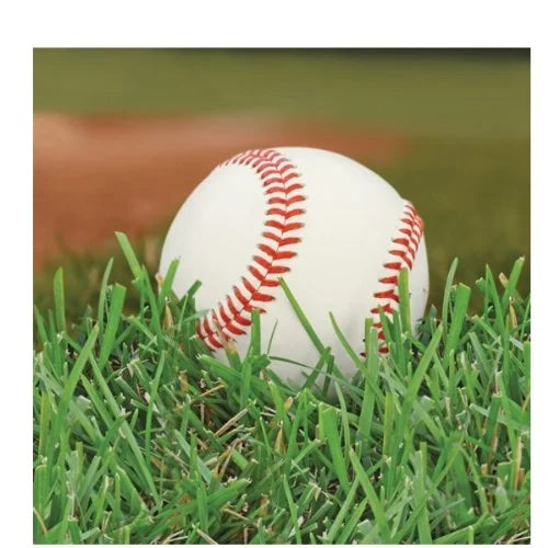 SPORTS FANATIC - BASEBALL BN