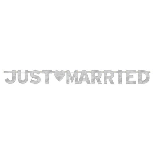 JUST MARRIED LETTER BANNER