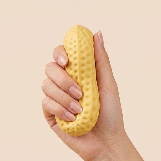 Crunchy Peanut Squeeze Squishy