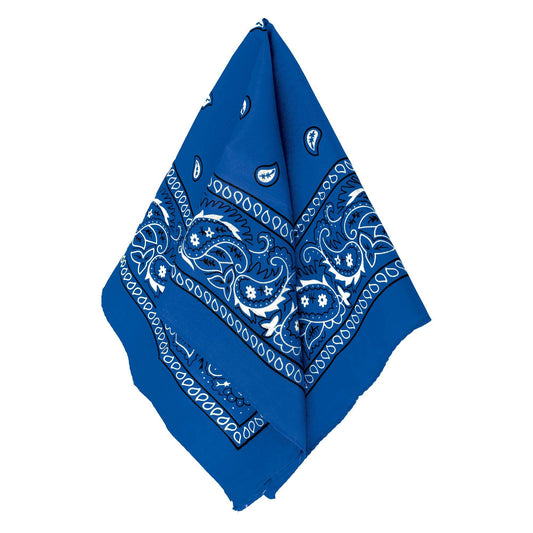 BLUE BANDANA
