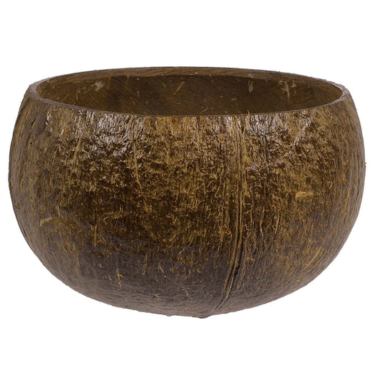 AUTHENTIC COCONUT CUP