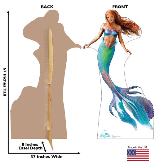 ARIEL CB STANDUP - DISNEY LA
