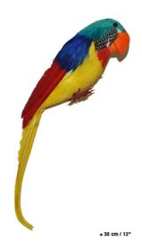 PIRATE PARROT DECOR