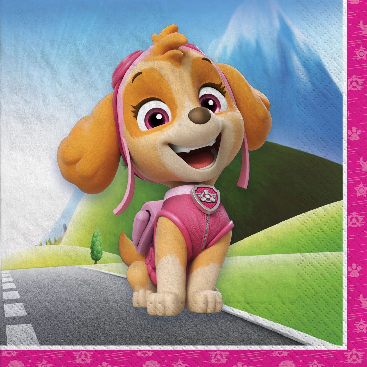 PAW PATROL SKYE LN