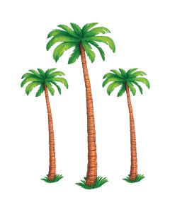 JOINTED PALM TREES 3CT
