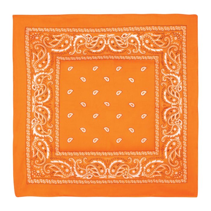 22" BANDANA