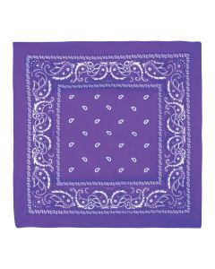 22" BANDANA