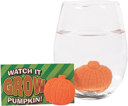 WATCH IT GROW PUMPKIN 5CT
