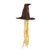 HARRY POTTER HAT 3D PULL PINATA