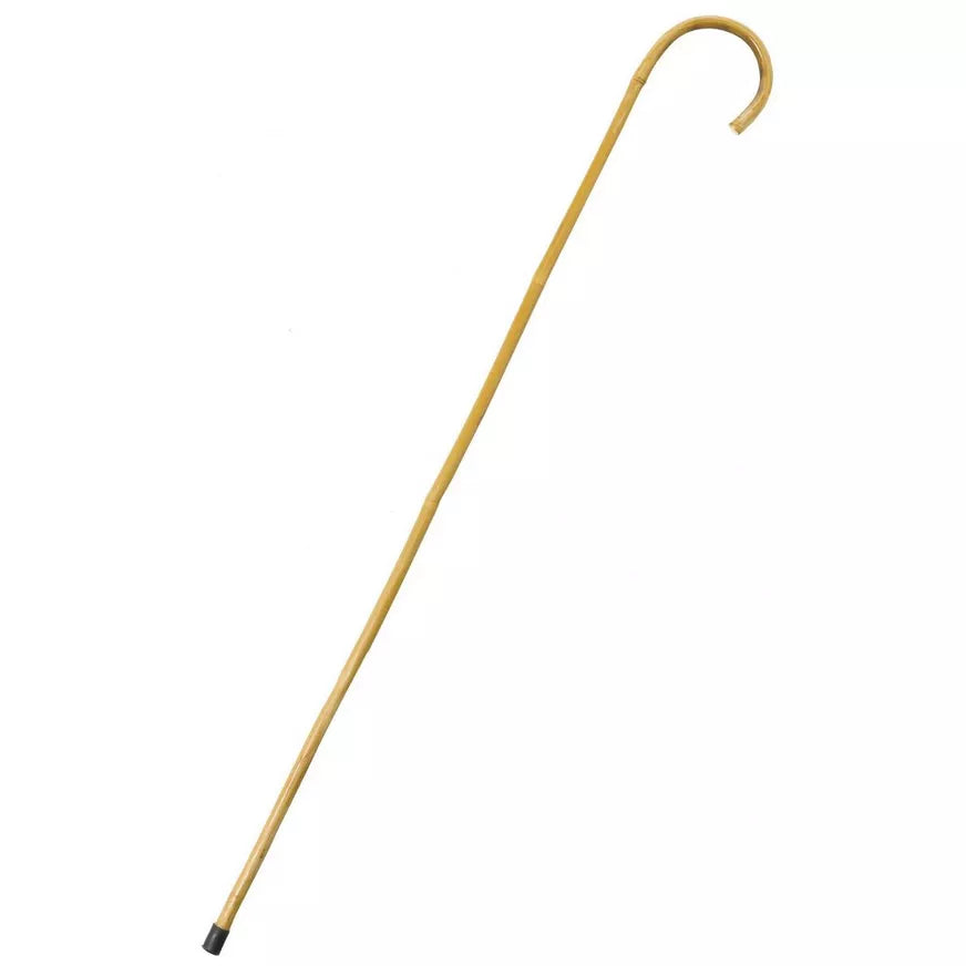 BAMBOO CANE