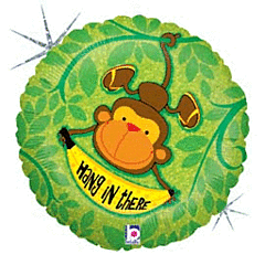HANG IN THERE 18" MYLAR-PKG