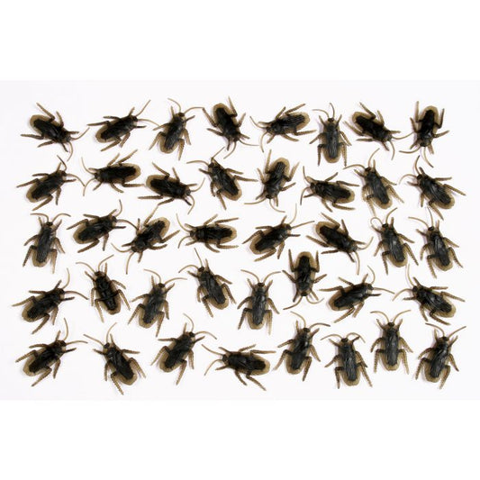 BAG OF ROACHES 40CT