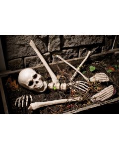 BAG OF BONES
