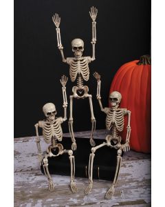 14" SKELETON