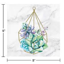 GEOMETRIC SUCCULENTS BN