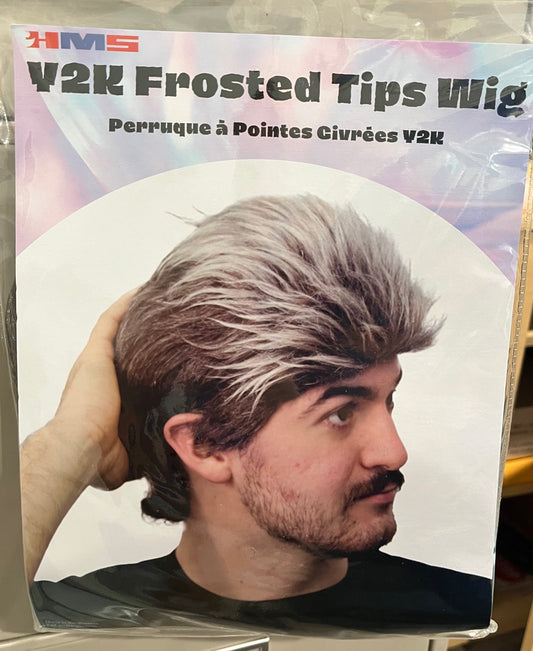Y2K FROSTED TIP WIG