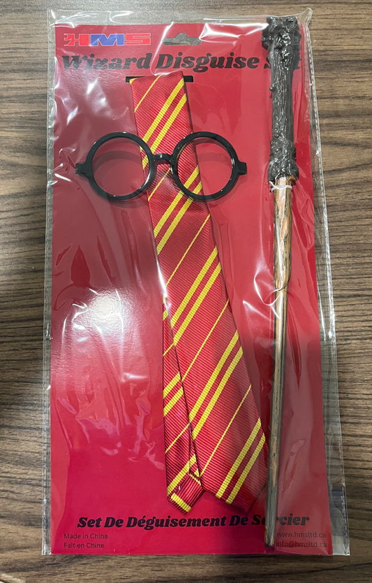 WIZARD DISGUISE SET