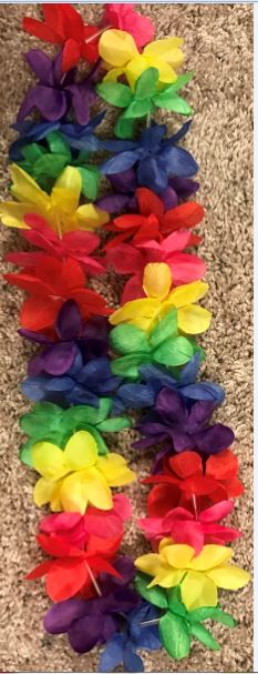 SPIRIT LEI RAINBOW 6CT