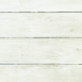 SHIPLAP CHIC LN