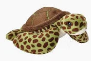5" POCKETKINS PLUSH GREEN SEA TURTLE