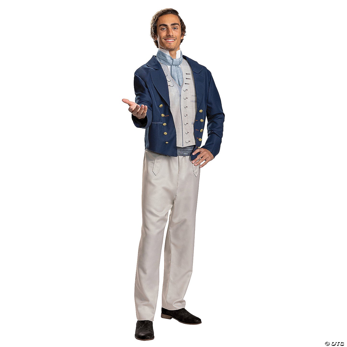 PRINCE ERIC MENS STD COSTUME