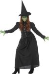WICKED WITCH ADULT SMALL COSTUME